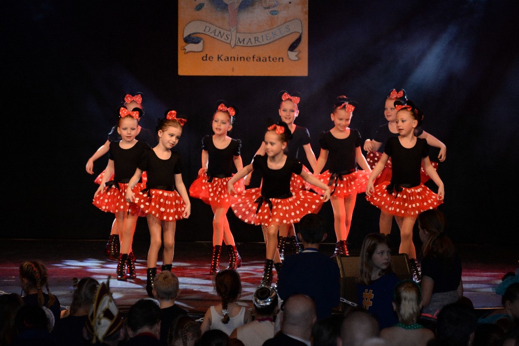 ../Images/Dansmariekefestival 2019 237.jpg